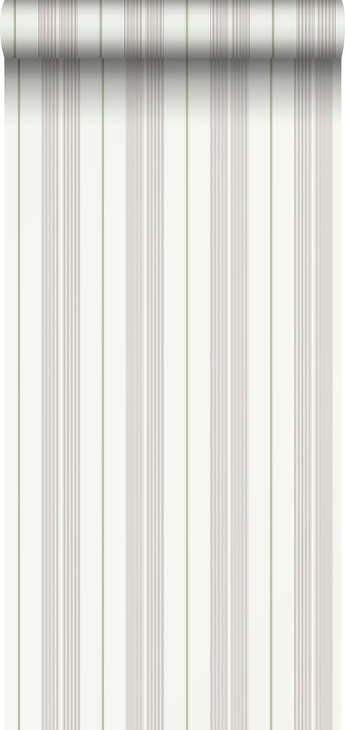 Sanders & Sanders behang strepen grijs en groen - 53 cm x 10.05 m - 640696