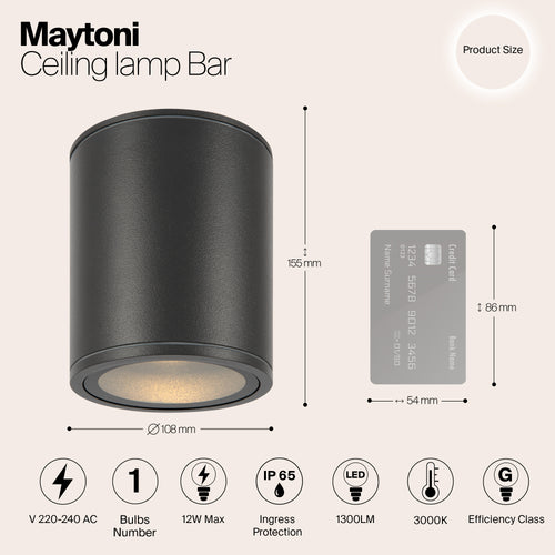 Maytoni Outdoor - Plafondlamp Bar - Grafiet - Ø10,8 - vtwonen shop