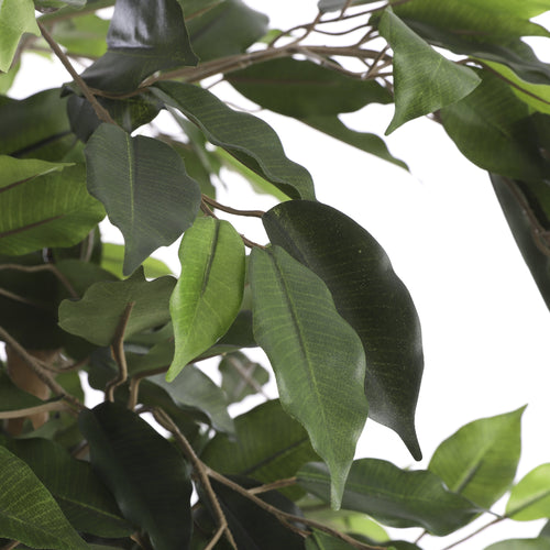Mica Decorations Ficus Kunstplant - H110 x Ø65 cm - Groen