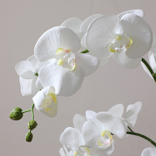 Sia Deco Orchidee Compositie Kunstmatig - wit - H86 - vtwonen shop