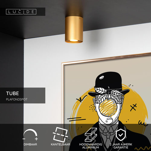Lucide plafondspot TUBE - 1xGU10 - Mat Goud / Messing