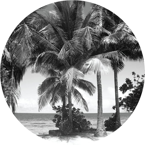 Sanders & Sanders zelfklevende behangcirkel tropisch landschap met palmbomen zwart wit Ø 140 cm 601133