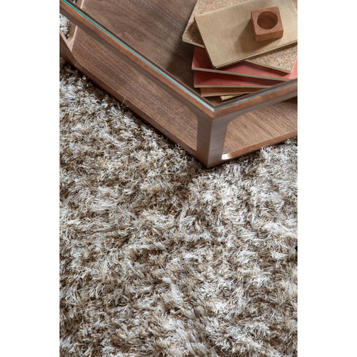 Dutchbone Hairy Vloerkleed Cappuccino 200x290 cm