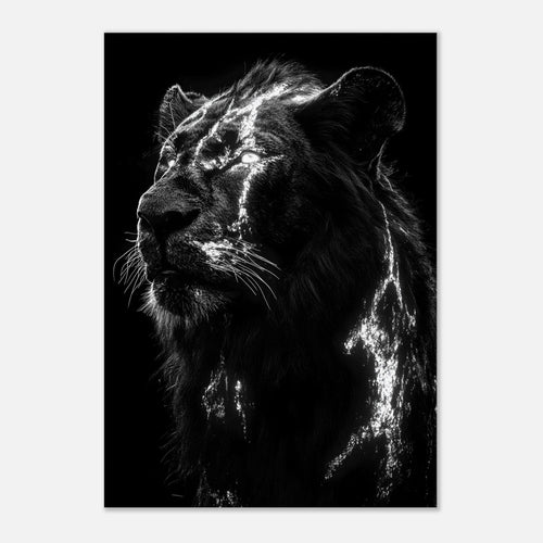 Artfulprints Canvas Lion portrait canvas - 75x100 cm - Zwart / Wit
