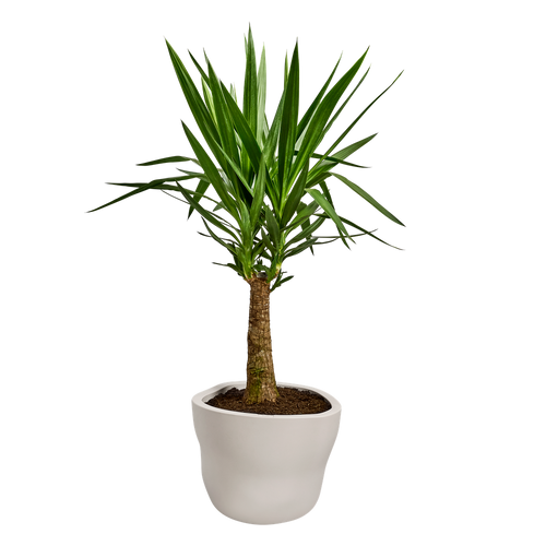 elho mura 47 linen white | Bloempot | Premium statementdesign