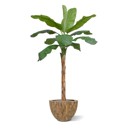 Maxifleur Banaan Royal XL kunstboom 300cm
