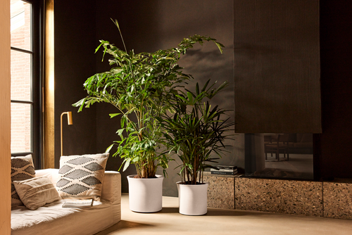 elho june tulip 40 linnen wit | Bloempot |Premium statementdesign