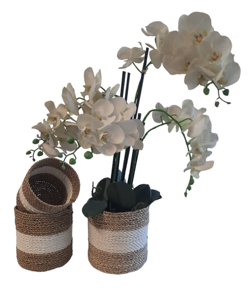 FurniLux Natuurlijke plantenbakken/ Mandenset - 20x20x21cm