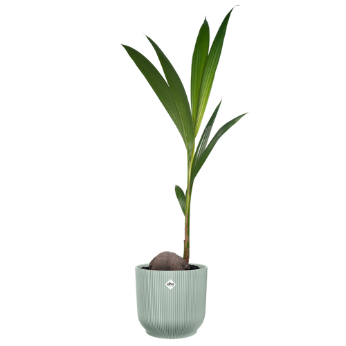 elho vibes fold rond 30 sorbet groen | Bloempot | Modern decoratief ribpatroon