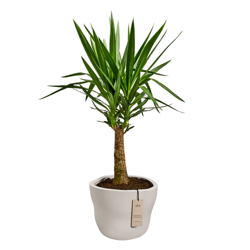 elho mura 47 linen white | Bloempot | Premium statementdesign