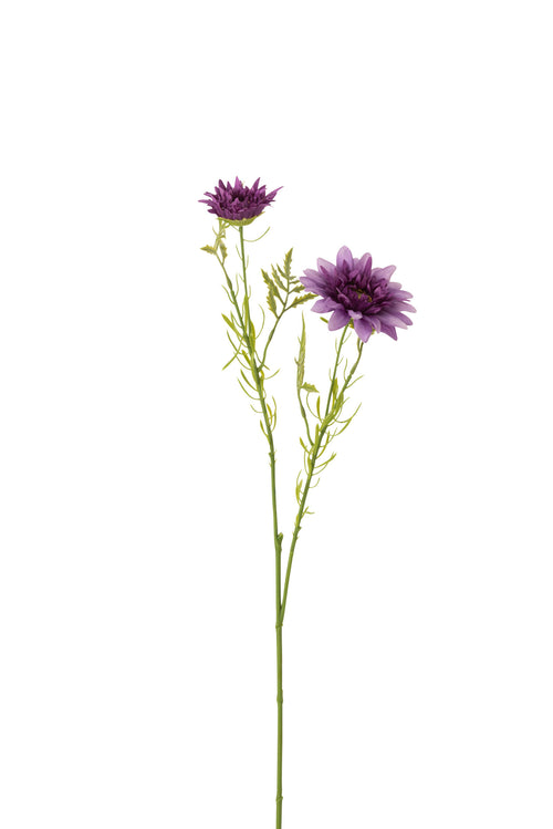 J-Line bloem Madelief - kunststof - donkerpaars - 24 stuks - vtwonen shop