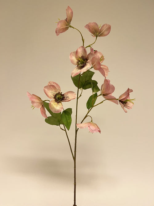 My Flowers.shop Roze helleborus zijden bloem | Lengte 60 centimeter | Per stuk - vtwonen shop