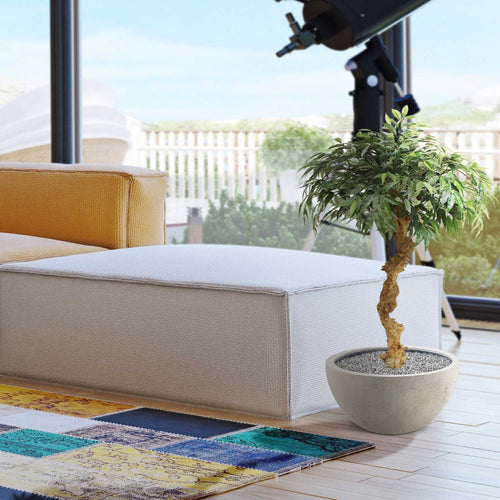 Maxifleur Shirakashi kunst bonsai op stam 100cm