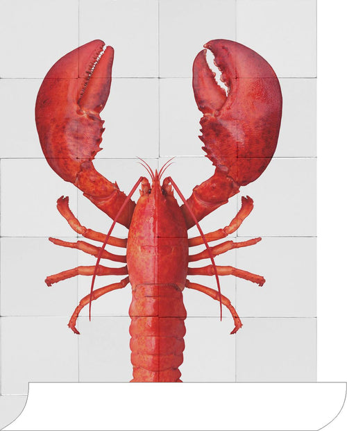 ESTAhome muursticker kreeft rood - 70 x 46.5 cm - 159035 - vtwonen shop