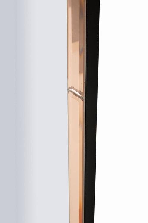 Mauro Ferretti wandspiegel - 55x2x150 cm - roze