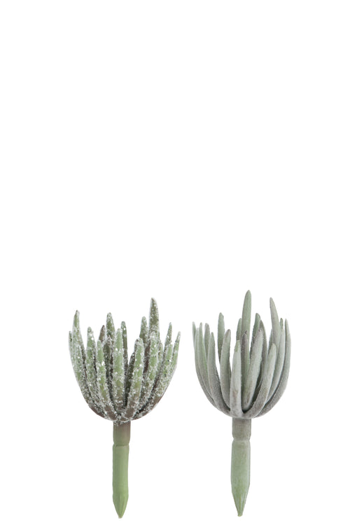 J-Line plant Echeveria - kunststof - groen - small - 2 stuks - vtwonen shop