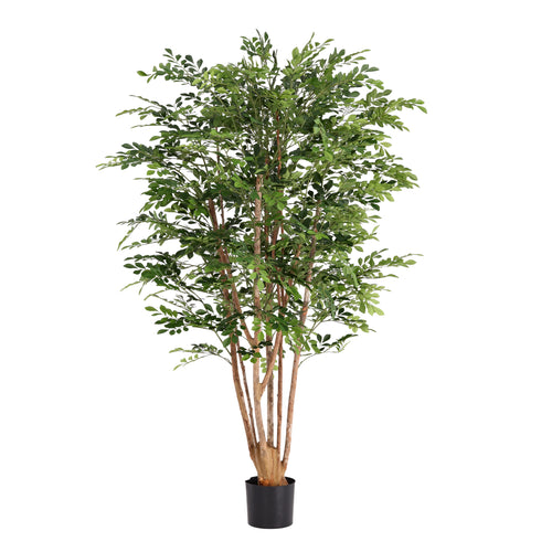 Maxifleur Murraya Kunstboom Deluxe 165cm in pot