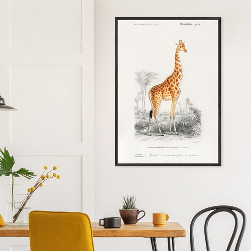 Artfulprints Poster Charles Dessalines d'Orbigny - Giraffe (giraffa camelopardalis)   - 30x40 cm - Oranje