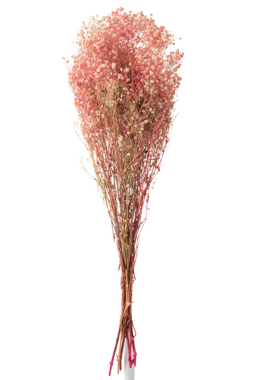 J-Line droogbloemen - Bundel Gypsophilia Gedroogd - riet - roze