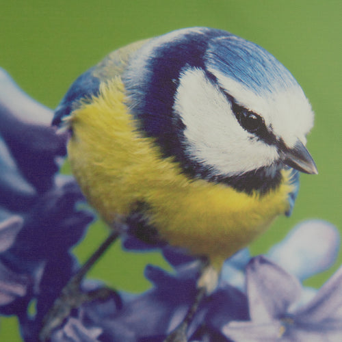 Art for the Home Buitencanvas - Vogel op een bloem - 50x50cm