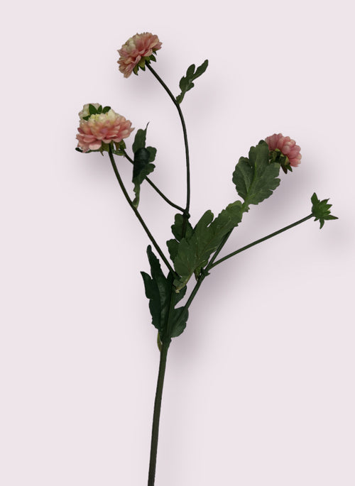 My Flowers.shop Lichtroze aster zijden bloem | Lengte 68 centimeter | Per stuk - vtwonen shop