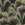 Sanders & Sanders fotobehang palmbladeren bruin - 424 x 280 cm - 640912