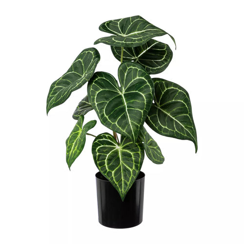 Flourify kunstplant - Anthurium - 37 cm - vtwonen shop