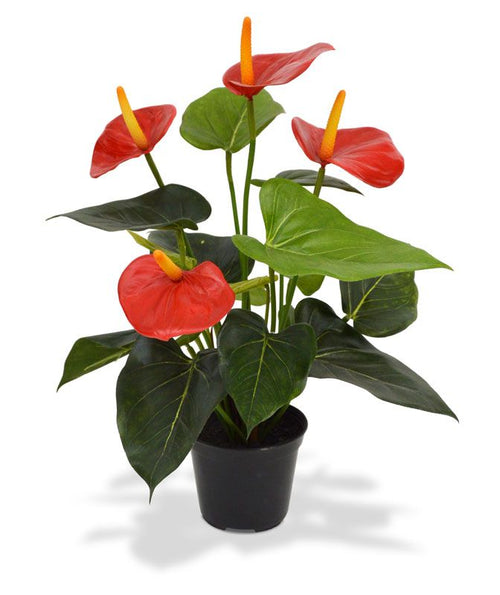 Maxifleur Anthurium kunstplant 40cm - rood in 10cm kweekpot
