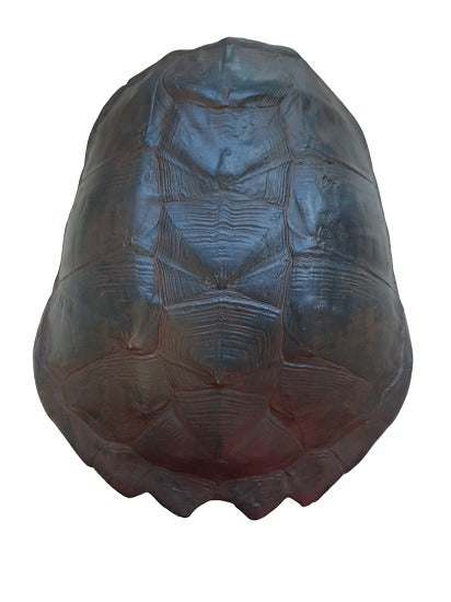 FurniLux Katana Large Brown - Schildpad - 28x12x57cm - vtwonen shop