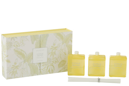 J-Line geurstokjes Citrus Sense - Energizing Citrus - glas - geel - doos van 3