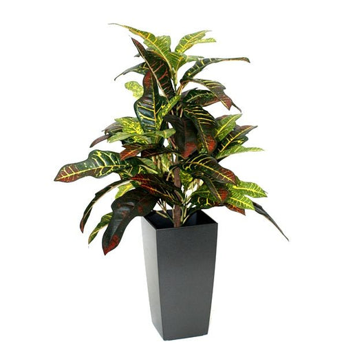 Maxifleur Croton Window kunstplant 50cm