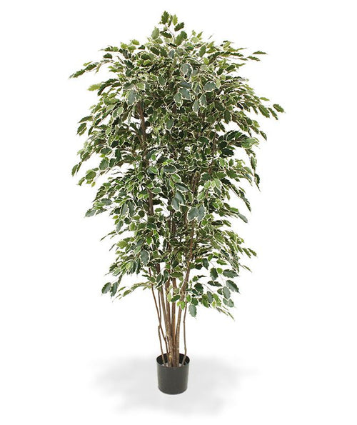 Maxifleur Ficus Exotica deluxe kunstboom 210cm - bont
