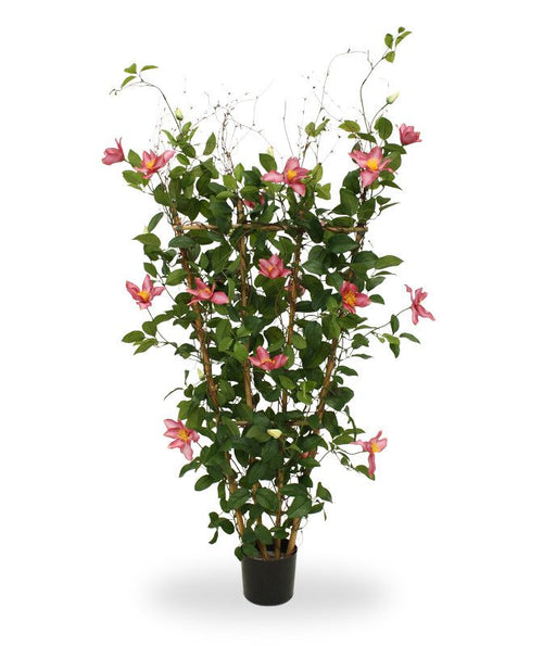 Maxifleur Clematis kunstheg 125cm - rose