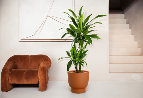 elho amber grail 58 karamel | Bloempot |Premium statementdesign