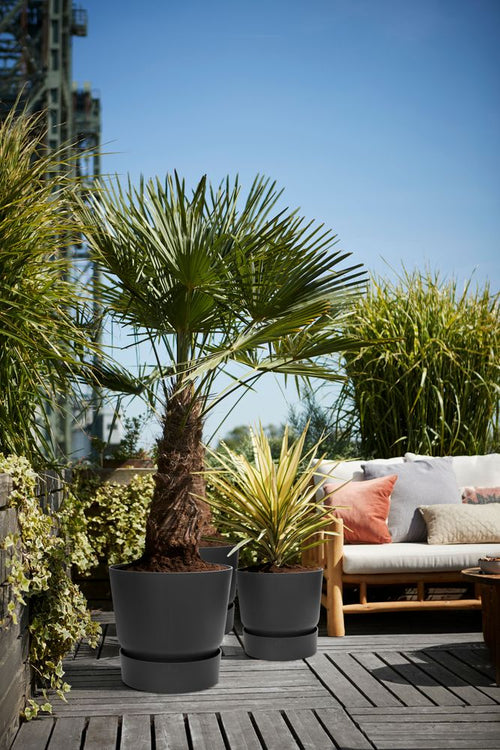 elho greenville rond 40 living black | Bloempot | Geschikt voor binnen & buiten