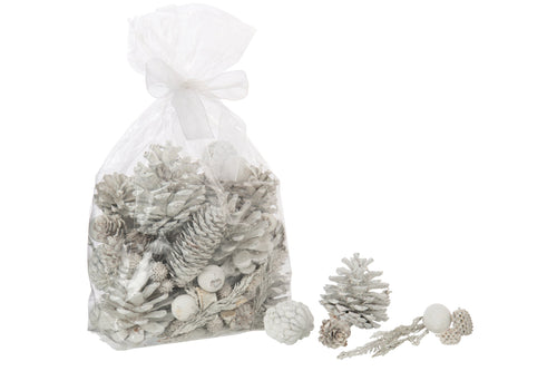 J-Line droogbloemen - riet - wit