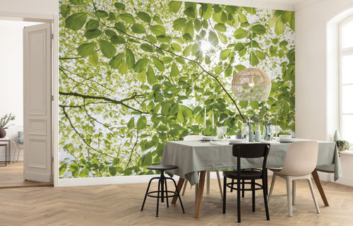 Sanders & Sanders fotobehang bos groen - 450 x 280 cm - 612632