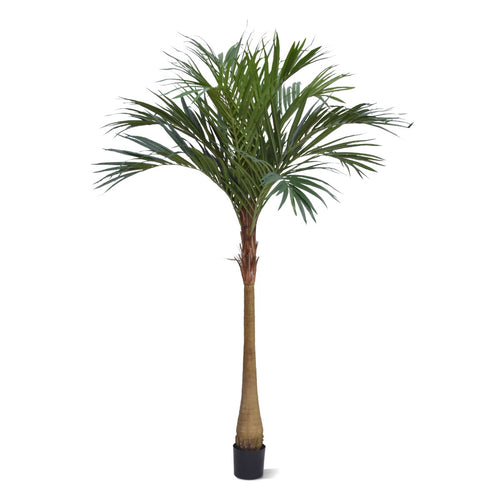 Maxifleur Majesty kunstpalm x10 YG-Trunk 225cm