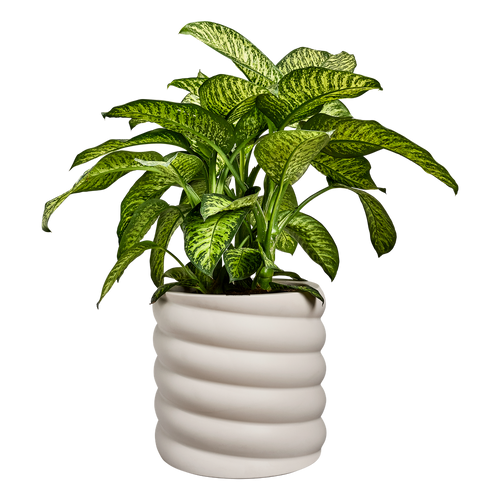 elho swirl 47 linen white | Bloempot | Dynamisch premium design