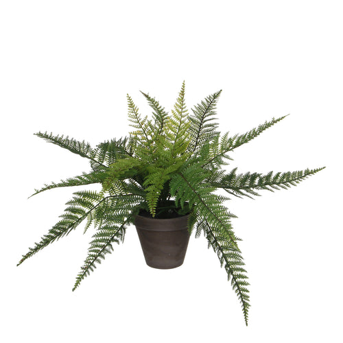 Mica Decorations Varen Kunstplant in Bloempot Stan - H38 x Ø50 cm - Groen - vtwonen shop