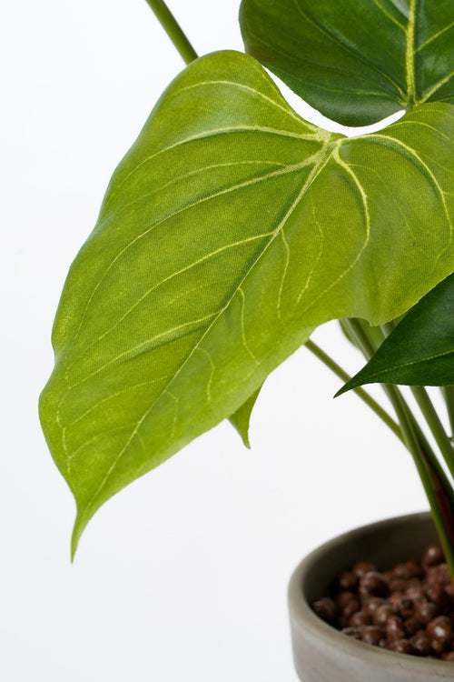 Mica Decorations Anthurium Kunstplant in Bloempot Stan - H38 x Ø30 cm - Rood