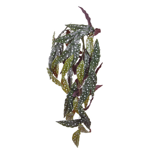 Maxifleur Begonia Maculata kunst hangplant 80cm