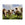 Art for the Home Buitencanvas - Nieuwsgierige Koeien - 50x70cm