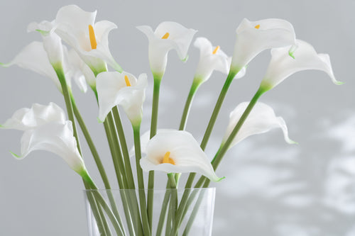 J-Line boeket Calla Lily 8Stuks - kunststof - wit - small - 12 stuks