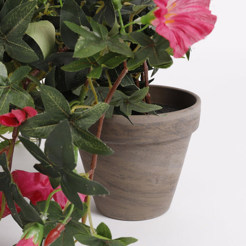 Mica Decorations Petunia Kunst Hangplant in Bloempot Stan - L25 x B45 x H50 cm - Donkerroze