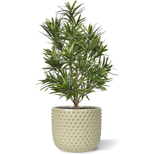 Maxifleur Podocarpus kunstboeket 50 cm UV