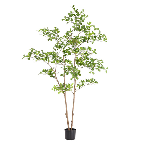 Maxifleur Pittosporum kunstplant 180cm