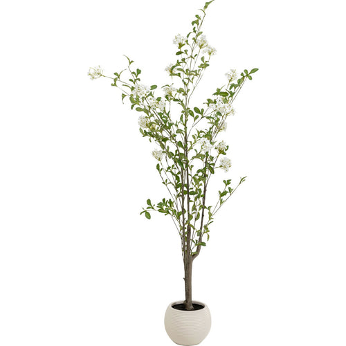 Kare Design Decoratie plant Plumbago 152cm - vtwonen shop