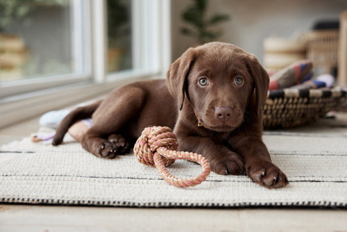 OYOY Speelgoed Otto - katoen - vtwonen shop