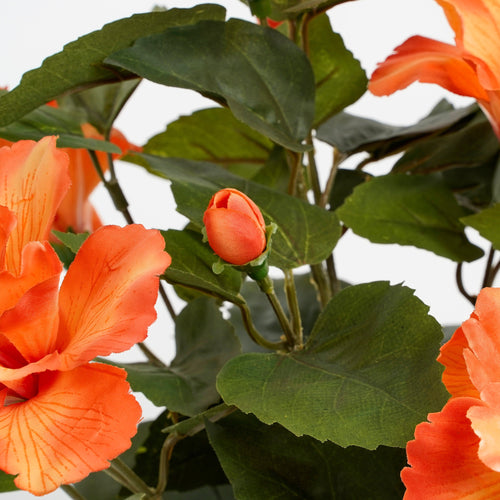 Mica Decorations Hibiscus Kunstplant in Bloempot Stan - H40 x Ø30 cm - Oranje